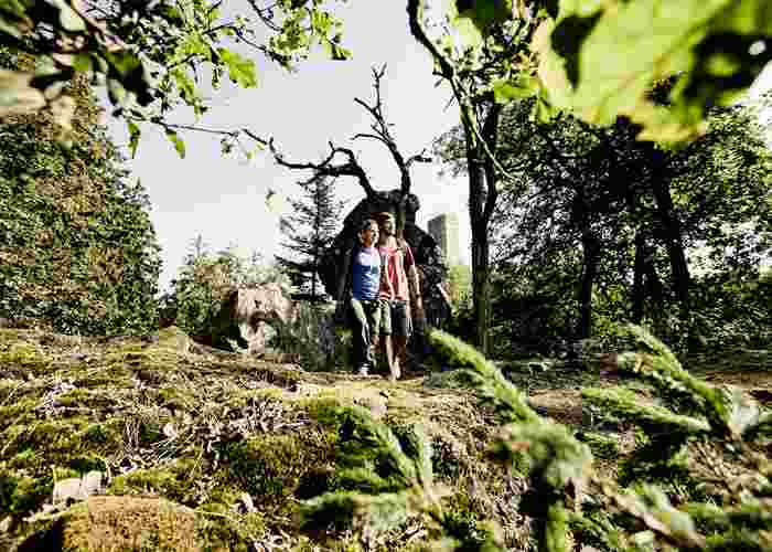 Soonwaldsteig für sportliche Wanderer