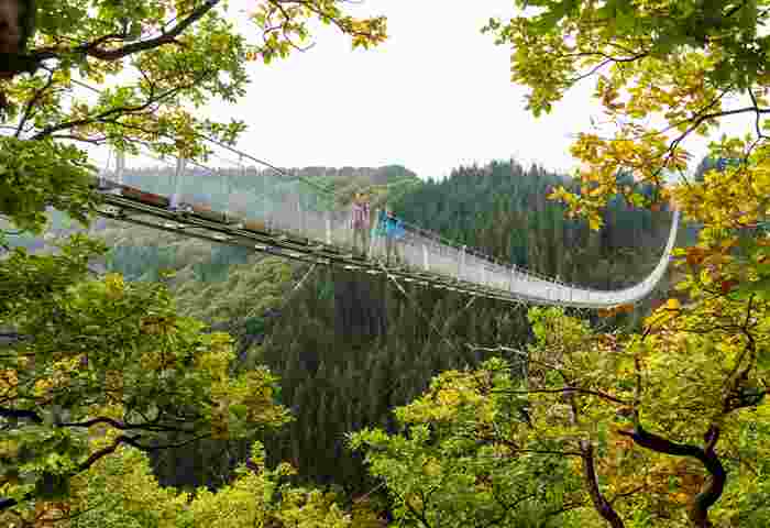 Adventure suspension rope bridge