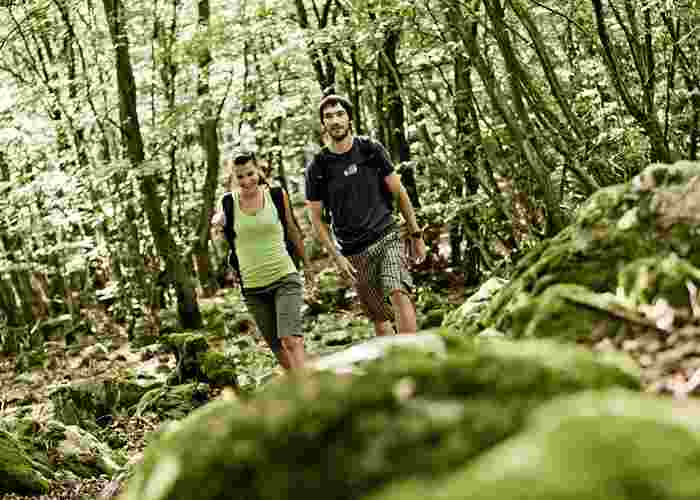  Soonwaldsteig - Wandern im Einklang mit der Natur